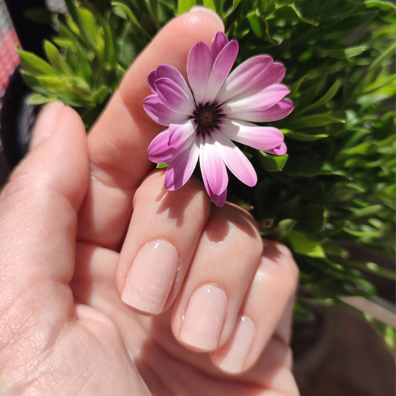 Láminas de Gel Semicuradas Láminas de Gel - Tender Rose - Nooves Nails - Calidad Profesional Nooves