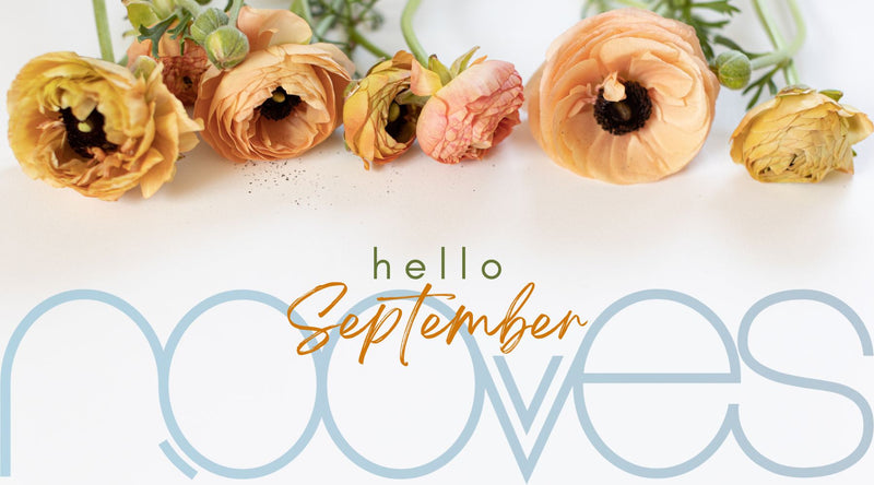 Colección Hello September!!