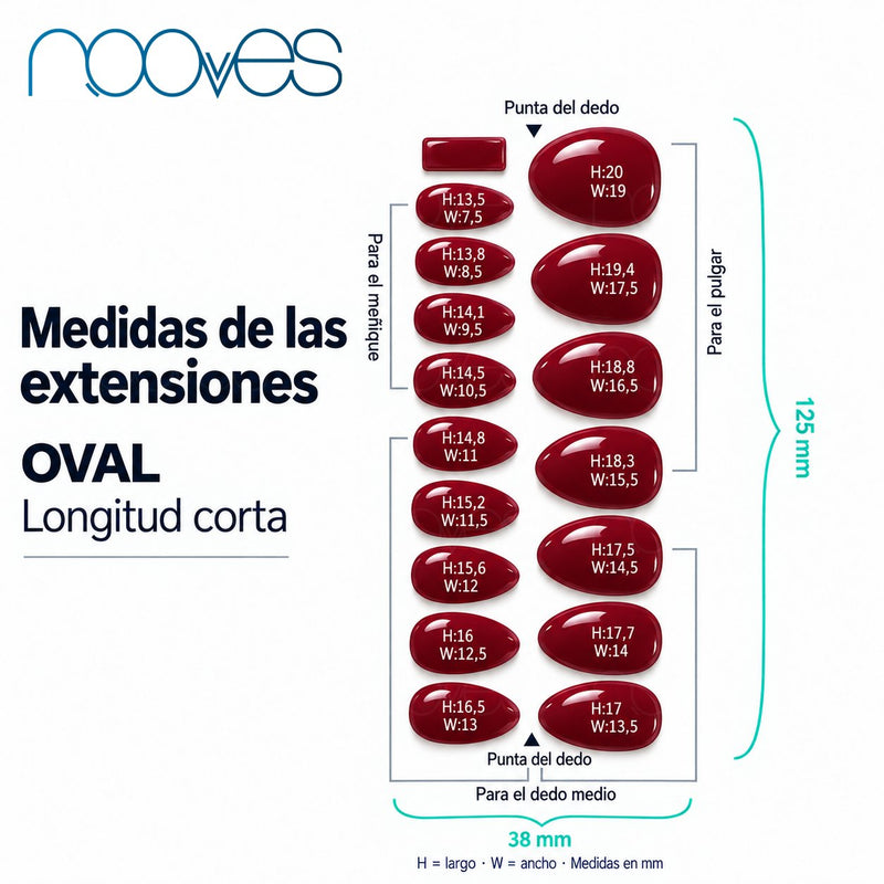 Diagrama de extensiones de forma oval con sus medidas.