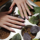 Gel Sheets - Star Dancer - Nooves Nails