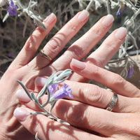 Gel Sheets - French Soft - Nooves Nails