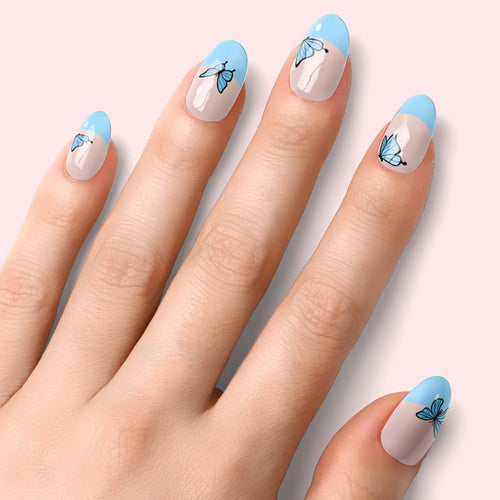 Papillon Blue